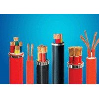 變頻器專（zhuān）用電力電纜