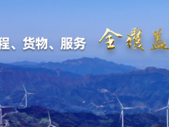 國（guó）際空港（gǎng）經濟區（東部新區片區）集中供能項目 可行性研究報告編製、工程（chéng）設計、建築規劃方案設計服務 招標公告